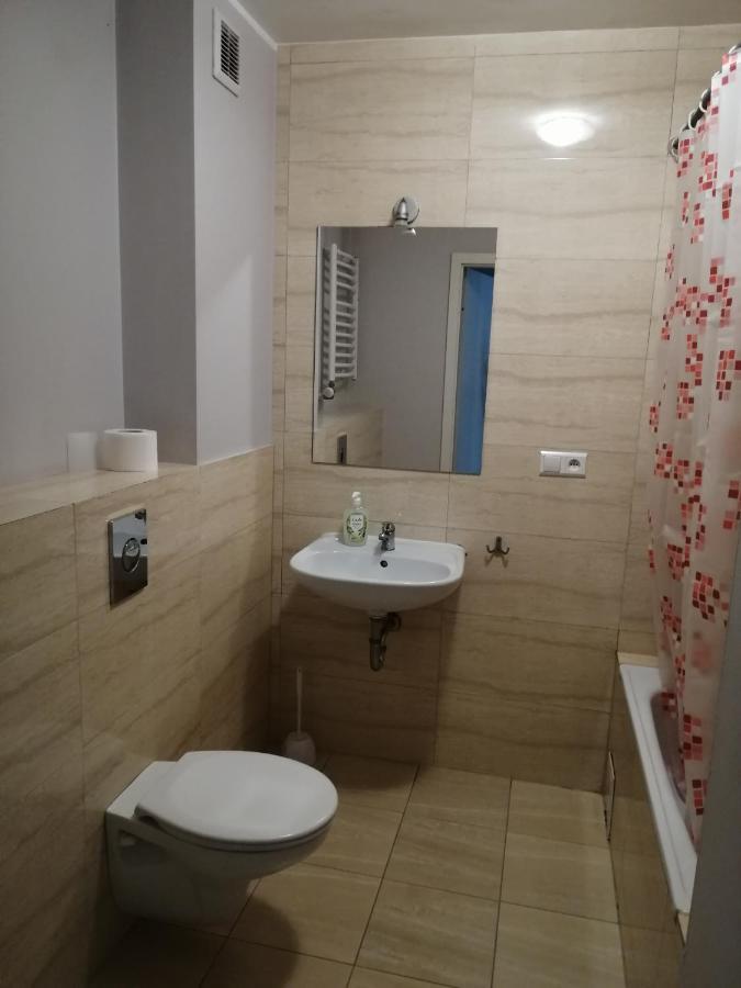 Pokoje Goscinne Z Prywatna Lazienka Dla Firm Gliwice Esterno foto